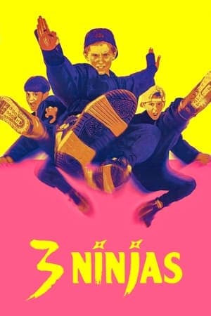 Ninja Kids : Les 3 Ninjas