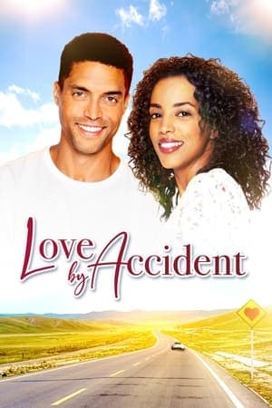 Romance par accident