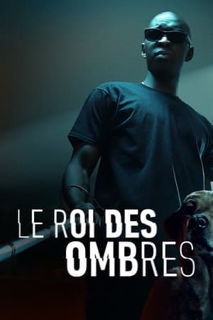 Le Roi des Ombres