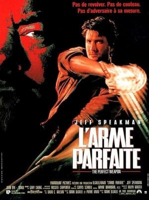 L'Arme parfaite