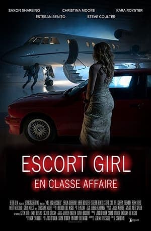 Escort Girl en classe affaires