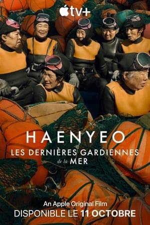 Haenyeo : les dernières gardiennes de la mer