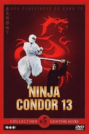 Ninja Condor 13