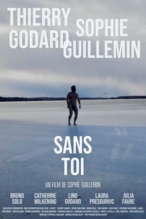 Sans toi