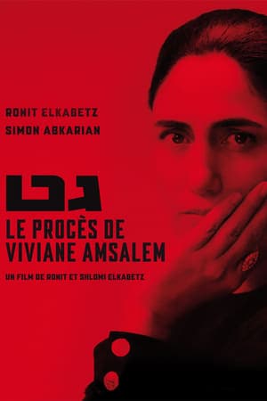 Le procès de Viviane Amsalem